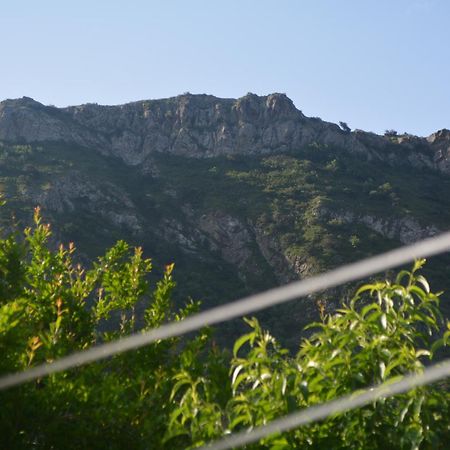 West Door Leilighet Mtsʼkhetʼa Eksteriør bilde